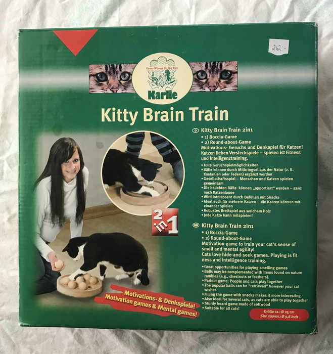 Kitty Brain Train